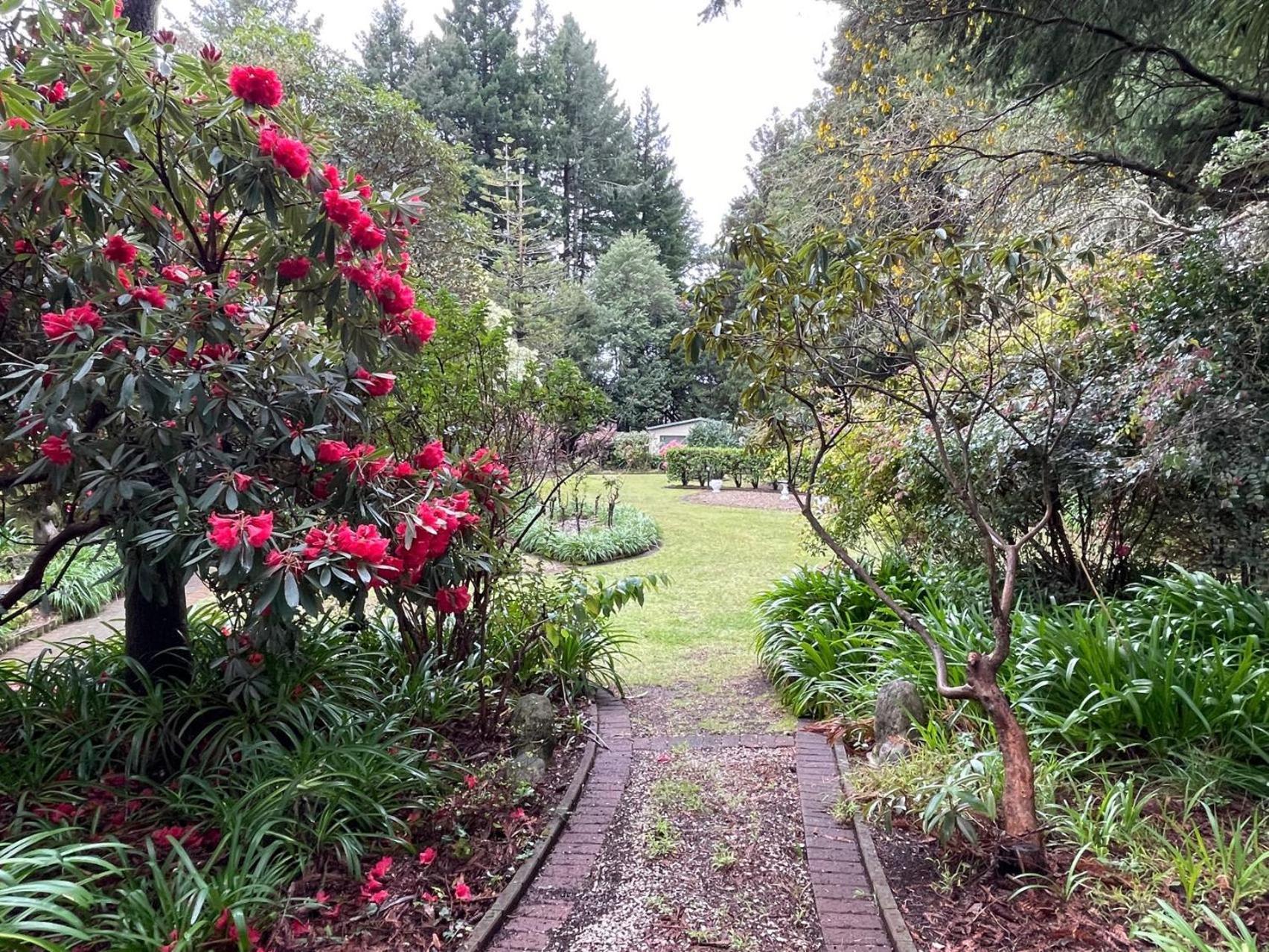 Garden Paradise In Rotorua With Pool 外观 照片