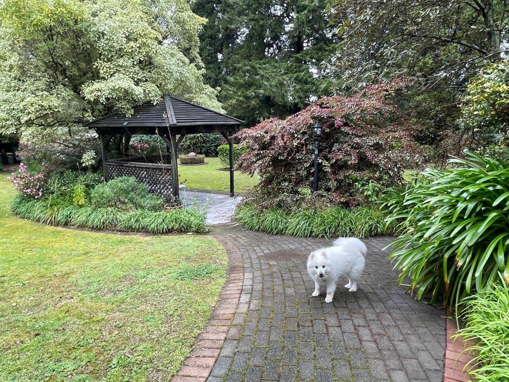 Garden Paradise In Rotorua With Pool 外观 照片